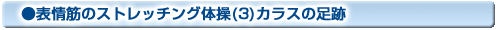 上腕二頭筋のストレッチング体操