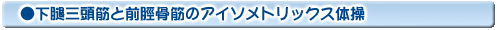 下腿三頭筋と前脛骨筋のアイソメトリックス