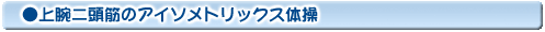 上腕二頭筋のアイソメトリックス体操