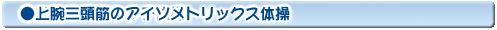 上腕三頭筋のアイソメトリックス体操