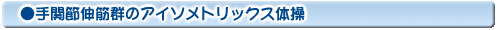 手関節伸筋群のアイソメトリックス体操