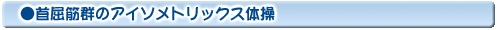 首屈筋群のアイソメトリックス体操