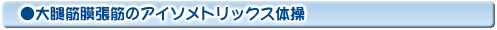 大腿筋膜張筋のアイソメトリックス体操