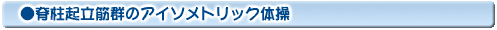 脊柱起立筋群のアイソメトリック体操