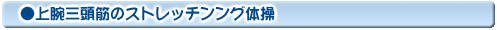 上腕三頭筋のストレッチンング体操