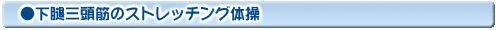 下腿三頭筋のストレッチング体操