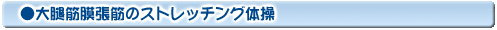大腿筋膜張筋のストレッチング体操
