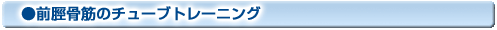 前脛骨筋のチューブトレーニング