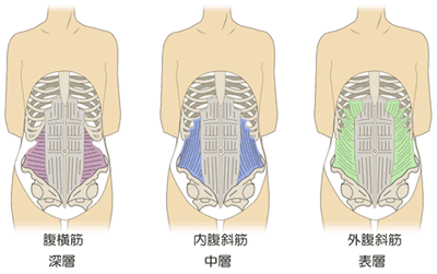 腹腔 内圧